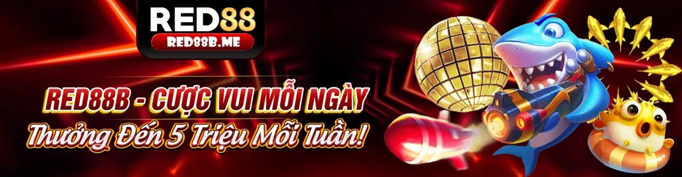 Đá Gà Philippines Hấp Dẫn